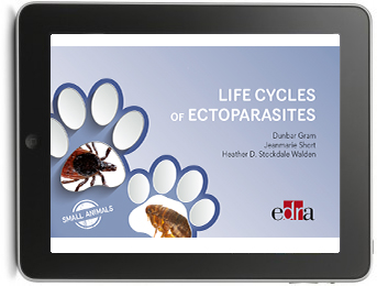 LIFE CYCLES OF ECTOPARASITES IN SMALL ANIMALS