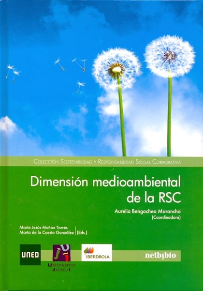 DIMENSION MEDIOAMBIENTAL DE LA RSC