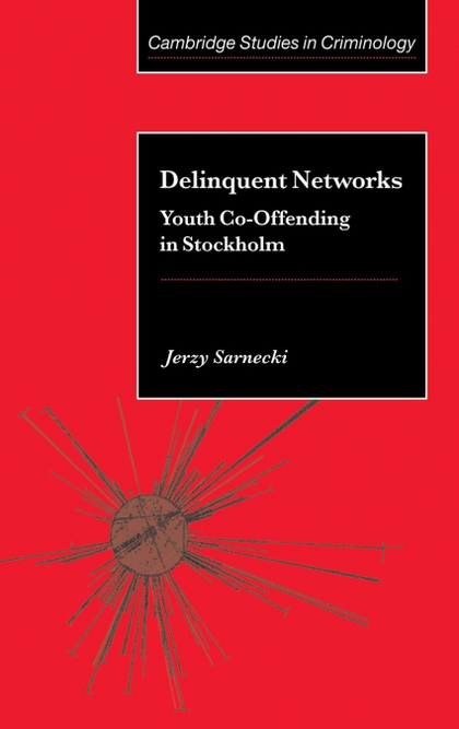 DELINQUENT NETWORKS