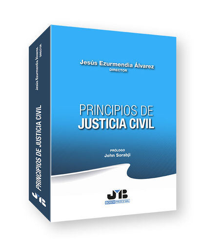 PRINCIPIOS DE JUSTICIA CIVIL.