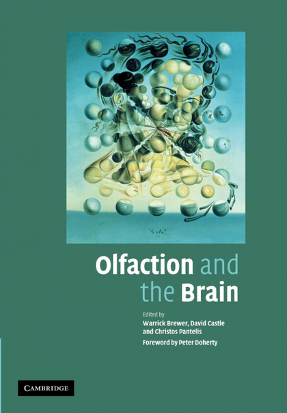 OLFACTION AND THE BRAIN