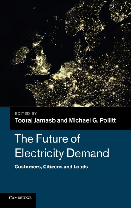 THE FUTURE OF ELECTRICITY DEMAND. CUSTOMERS, CITIZENS AND LOADS
