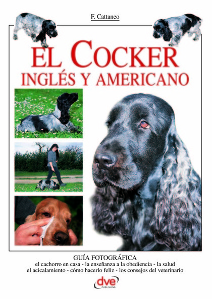 EL COCKER INGL'S Y AMERICANO