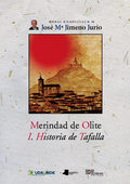 MERINDAD DE OLITE. I. HISTORIA DE TAFALLA