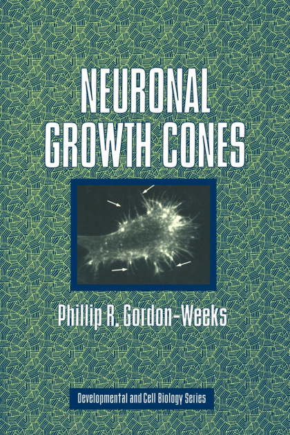 NEURONAL GROWTH CONES