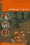 HONGOS Y SETAS: TESOROS DE NUESTROS MONTES