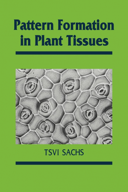 PATTERN FORMATION IN PLANT TISSUES