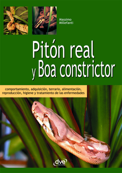 PITÀN REAL Y BOA CONSTRICTOR