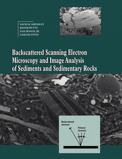 BACKSCATTERED SCANNING ELECTRON MICROSCOPY AND IMAGE ANALYSIS OF SEDIMENTS AND S