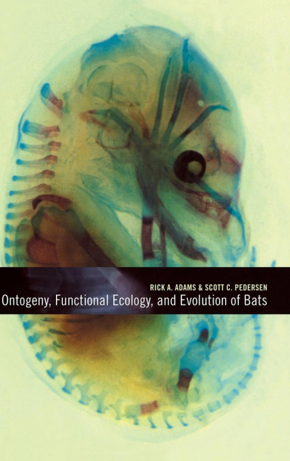 ONTOGENY, FUNCTIONAL ECOLOGY, AND EVOLUTION OF BATS