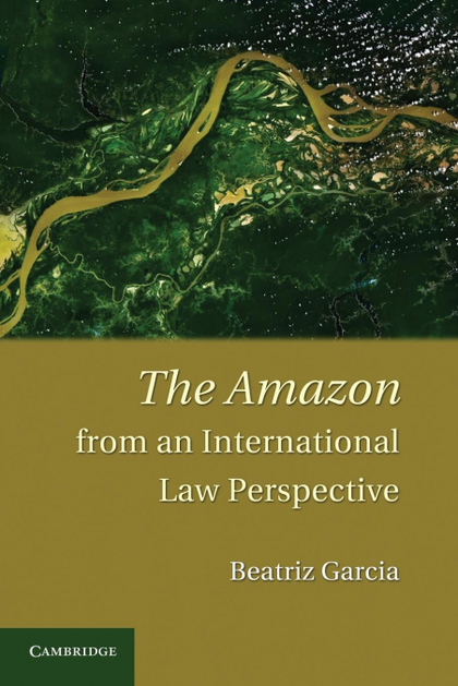 THE AMAZON FROM AN INTERNATIONAL LAW PERSPECTIVE
