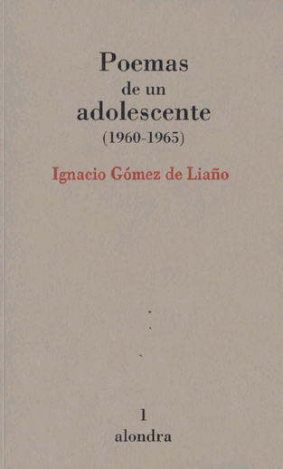 POEMAS DE UN ADOLESCENTE (1960-1965).