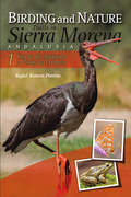 BIRDING AND NATURE TRAILS IN SIERRA MORENA, ANDALUSIA : SIERRA DE ARACENA Y PICOS DE AROCHE