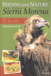 BIRDING AND NATURE TRAILS IN SIERRA MORENA 3 SEVILLE ANDALU