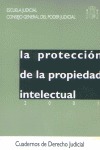 PROTECCIÓN DE LA PROPIEDAD INTELECTUAL, LA