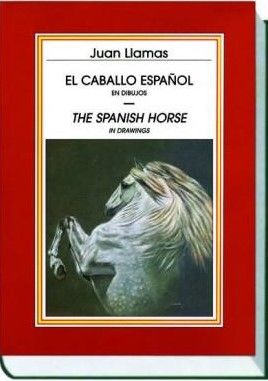 EL CABALLO ESPAÑOL EN DIBUJOS - THE SPANISH HORSE IN DREAWINGS