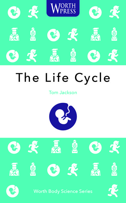 THE LIFE CYCLE