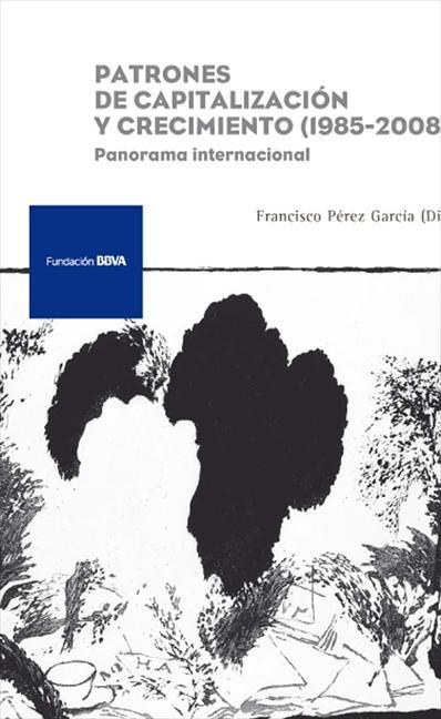 PATRONES DE CAPITALIZACIÓN Y CRECIMIENTO, 1985-2008