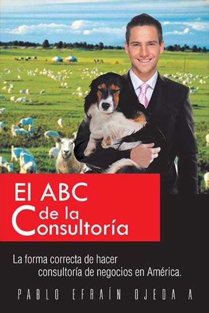 EL ABC DE LA CONSULTORIA