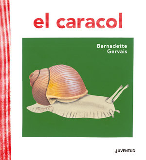 CARACOL EL