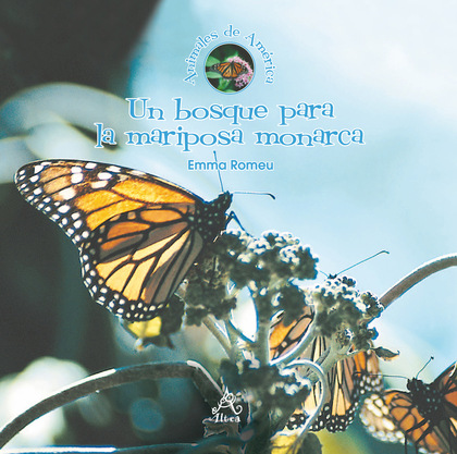 Un bosque para la mariposa monarca