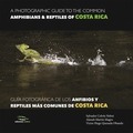 A PHOTOGRAPHIC GUIDE OF THE COMMON AMMPHIBIANS & REPTILES OF COSTA ROCA / GUÍA F