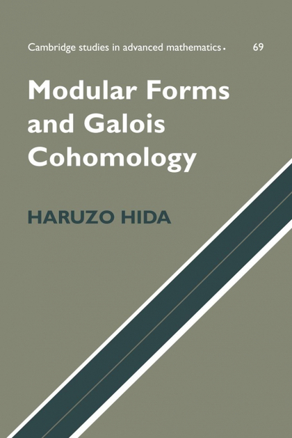 MODULAR FORMS AND GALOIS COHOMOLOGY