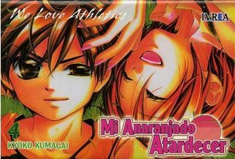 MI ANARANJADO ATARDECER 04 (COMIC).