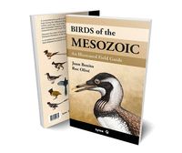 BIRDS OF THE MESOZOIC
