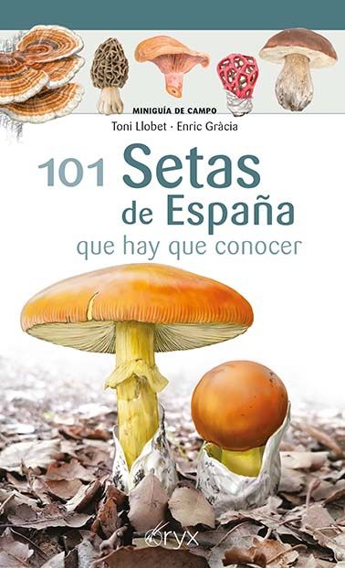 101 SETAS DE ESPAÑA. QUE HAY QUE CONOCER