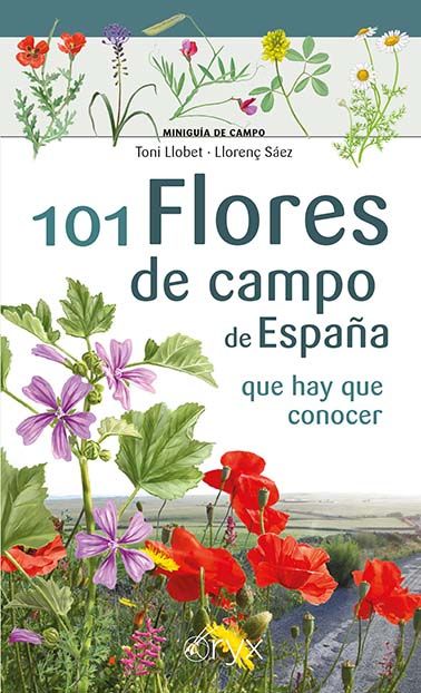 101 FLORES DE CAMPO DE ESPAÑA. QUE HAY QUE CONOCER