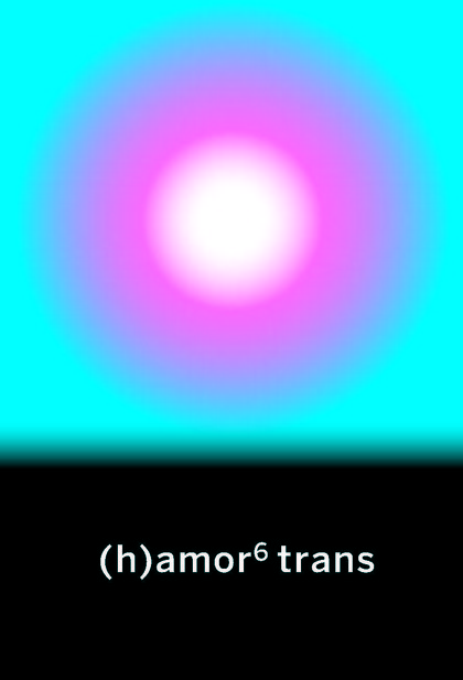 (H)AMOR 6 TRANS.