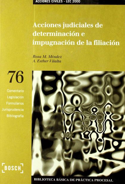 ACCIONES JUDICIALES DE DETERMINACIÓN E IMPUGNACIÓN DE LA FILIACIÓN - LEC 2000