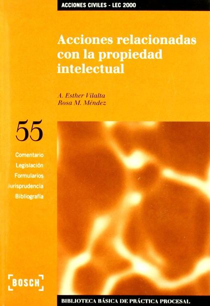 ACCIONES RELACIONADAS CON LA PROPIEDAD INTELECTUAL - LEC 2000