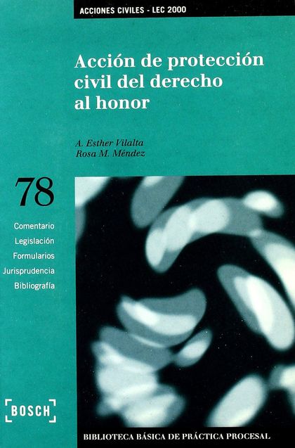 ACCIÓN DE PROTECCIÓN CIVIL DEL DERECHO AL HONOR - LEC 2000