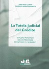 LA TUTELA JUDICIAL DEL CRÉDITO.