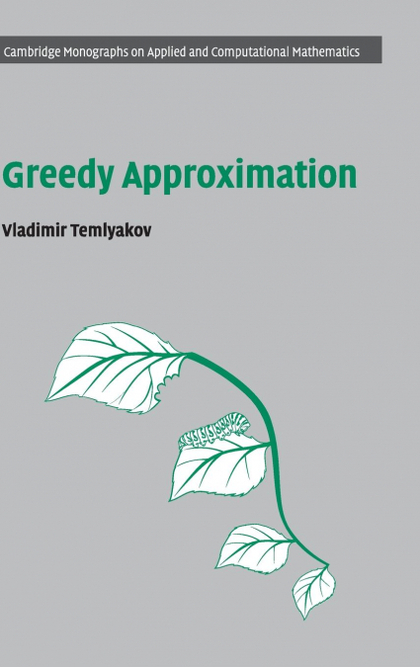 GREEDY APPROXIMATION