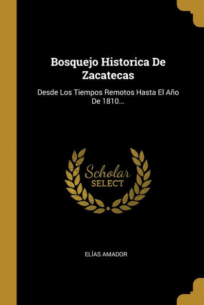 BOSQUEJO HISTORICA DE ZACATECAS