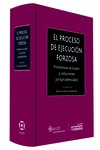 EL PROCESO DE EJECUCIÓN FORZOSA : PROBLEMAS ACTUALES Y SOLUCIONES JURISPRUDENCIALES