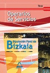 OPERARIOS DE SERVICIOS, DIPUTACIÓN FORAL DE BIZKAIA. TEST