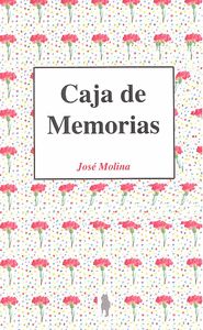 CAJA DE MEMORIAS