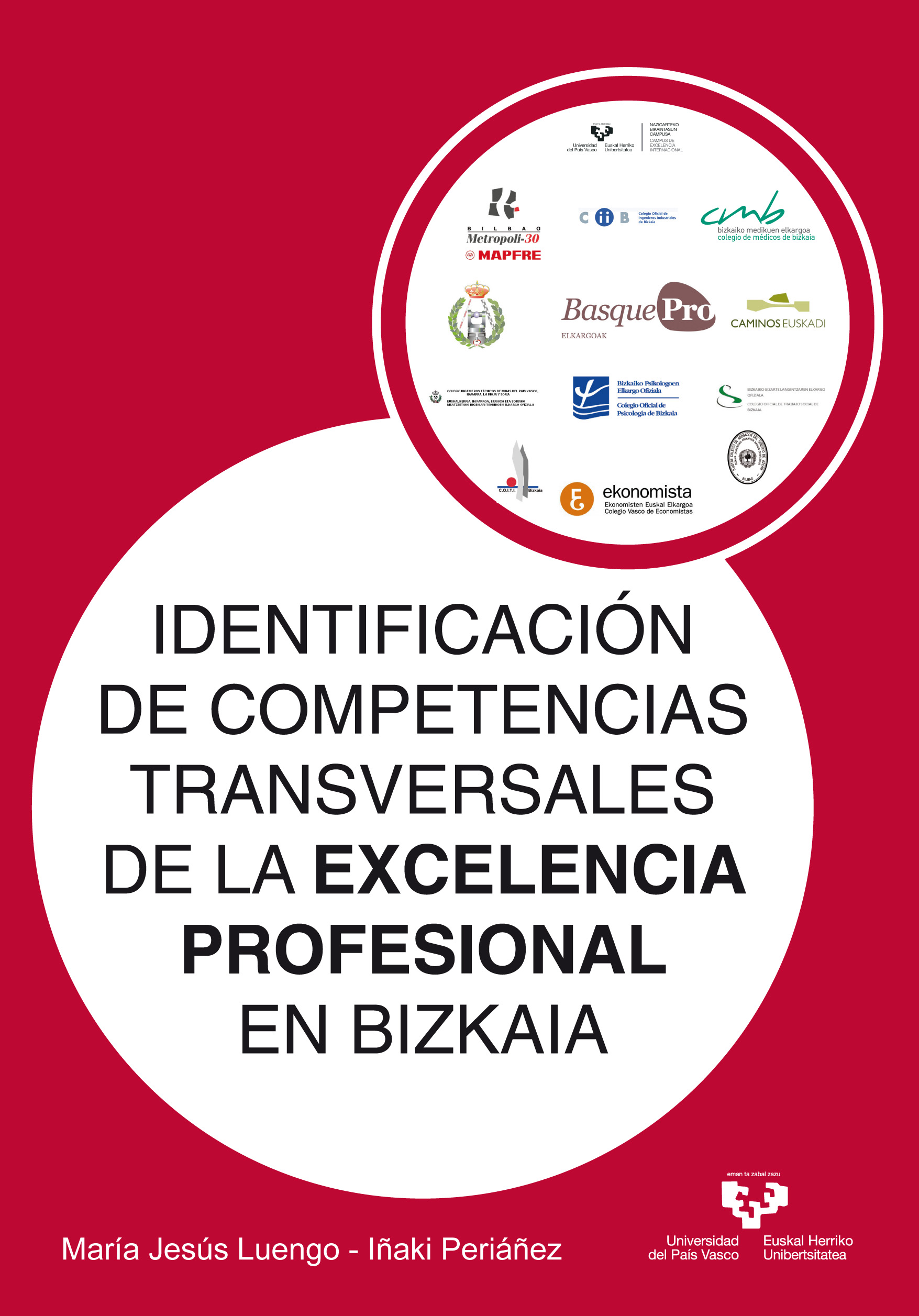 IDENTIFICACIÓN DE COMPETENCIAS TRANSVERSALES DE LA EXCELENCIA PROFESIONAL EN BIZ