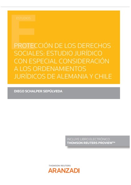 PROTECCIÓN DE LOS DERECHOS SOCIALES: ESTUDIO JURÍDICO CON ESPECIAL CONSIDERACIÓN