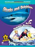 SHARK AND DOLPHIN 6º PRIMARY