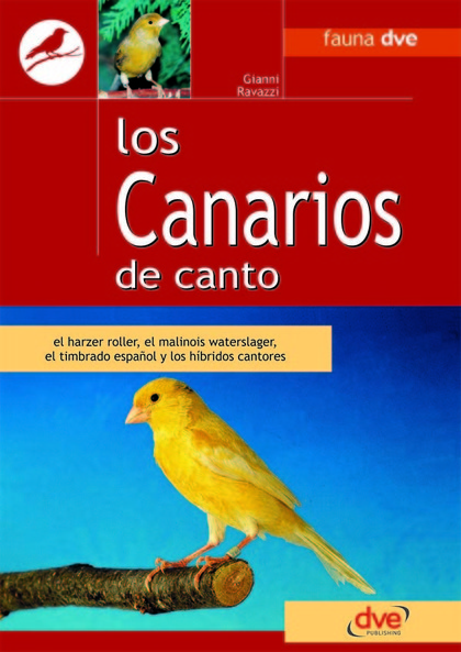 LOS CANARIOS DE CANTO