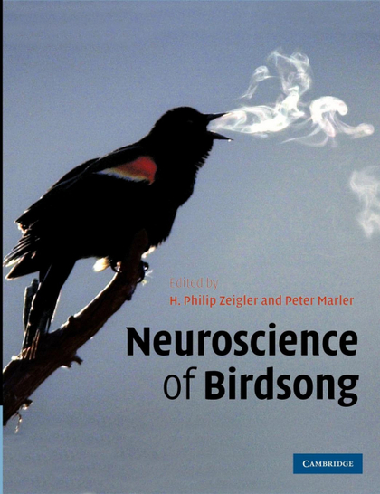 NEUROSCIENCE OF BIRDSONG