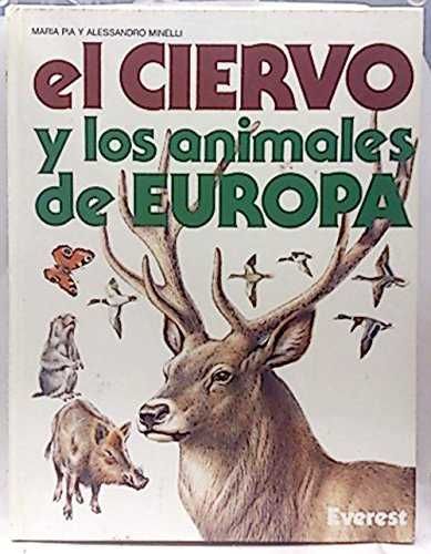 CIERVO ANIMALES EUROPA