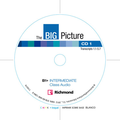 THE BIG PICTURE B1+ INTERMEDIATE RICHMNOD.