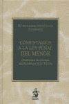 COMENTARIOS A LA LEY PENAL DEL MENOR: (CONFORME A LAS REFORMAS INTRODUCIDAS POR LA LO 8/2006)