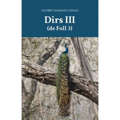 DIRS III (DE FOLLS 3)